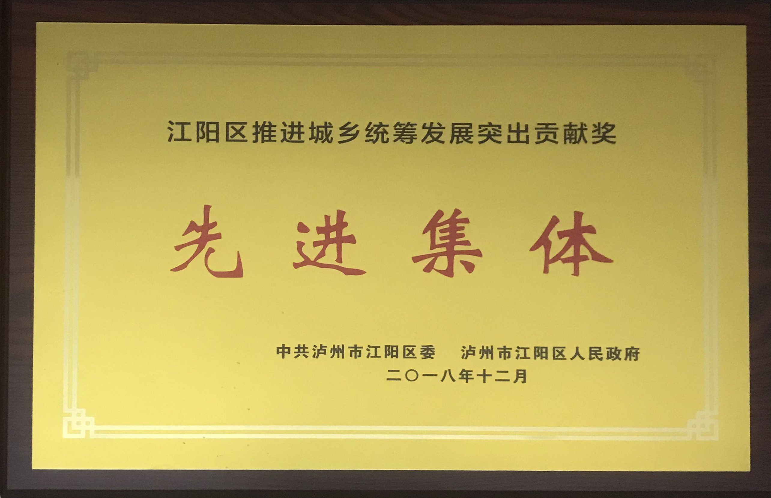 江陽區推進城鄉統籌發展突出貢獻獎
